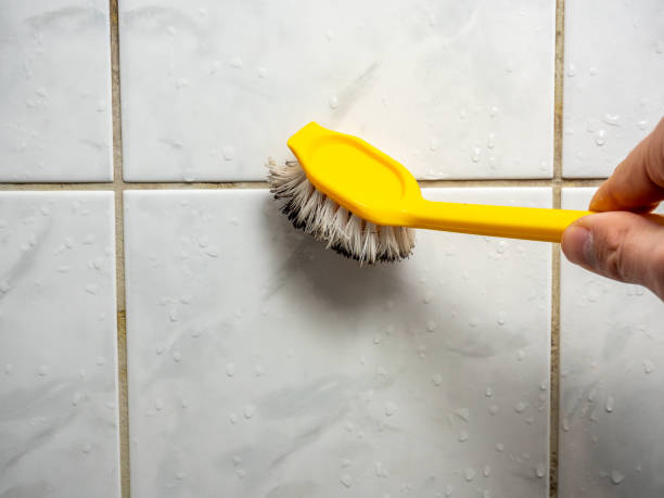  Collinsville, TX Mold Removal Pros