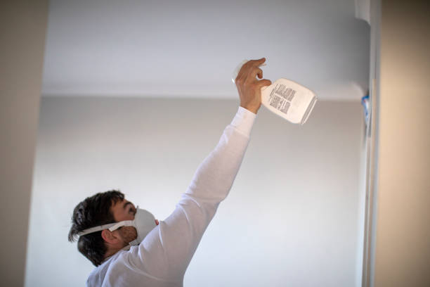 Best Office Mold Removal Services  in Collinsville, TX