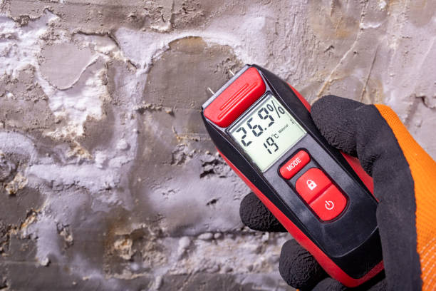 Best Residential Mold Removal  in Collinsville, TX