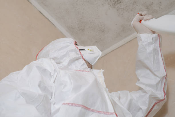 Best Crawl Space Mold Removal  in Collinsville, TX